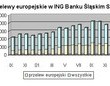 W ING europrzelewy po 5 zł także do rozliczeń w Polsce