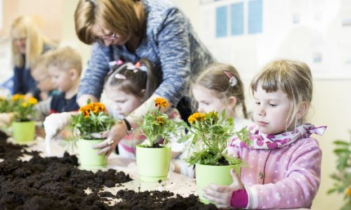 W V edycji programu „Decydujesz, pomagamy” aż 375 projektów otrzyma grant!