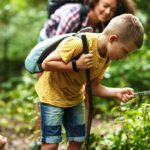 Pierwsze drzewa pokrywają się kwieciem, w ogródkach i w parkach robi się kolorowo, bociany zasiedlają gniazda, a lasy zaczynają tętnić życiem – 10 pomysłów na majówkę bliżej natury.